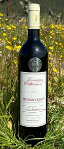 Domaine de Villeneuve - La Sorbière 2020 (rött/red)