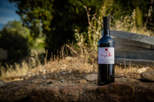 Domaine du Grand-Arc - Réserve 2019 (rött/red): The good friend