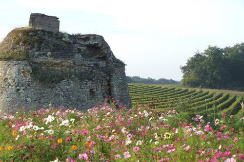 Château de Fosse-Sèche - Eolithe 2017 (rött/red): Natural Refinement