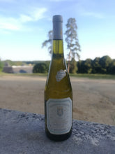 Domaine des Cognettes - Selection 2018 (vitt/white) : Golden Light on the Atlantic