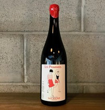 Marie Rocher - Les Passantes 2019 (rött/red) : Very Good Gamay!