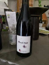 Domaine des Cognettes - Pinot Noir 2020 (rött/red): Pinot with intensity