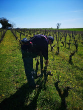 P. Corbineau - Croix Foucher 2014 (rött/red): Raw energy